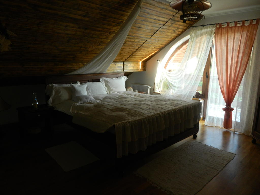 Pensiunea Romantic Sadu Exterior foto