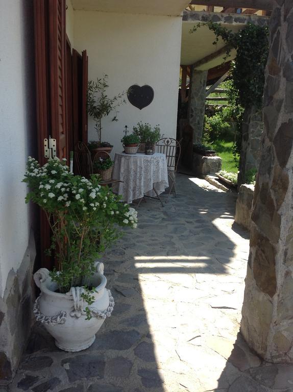 Pensiunea Romantic Sadu Exterior foto