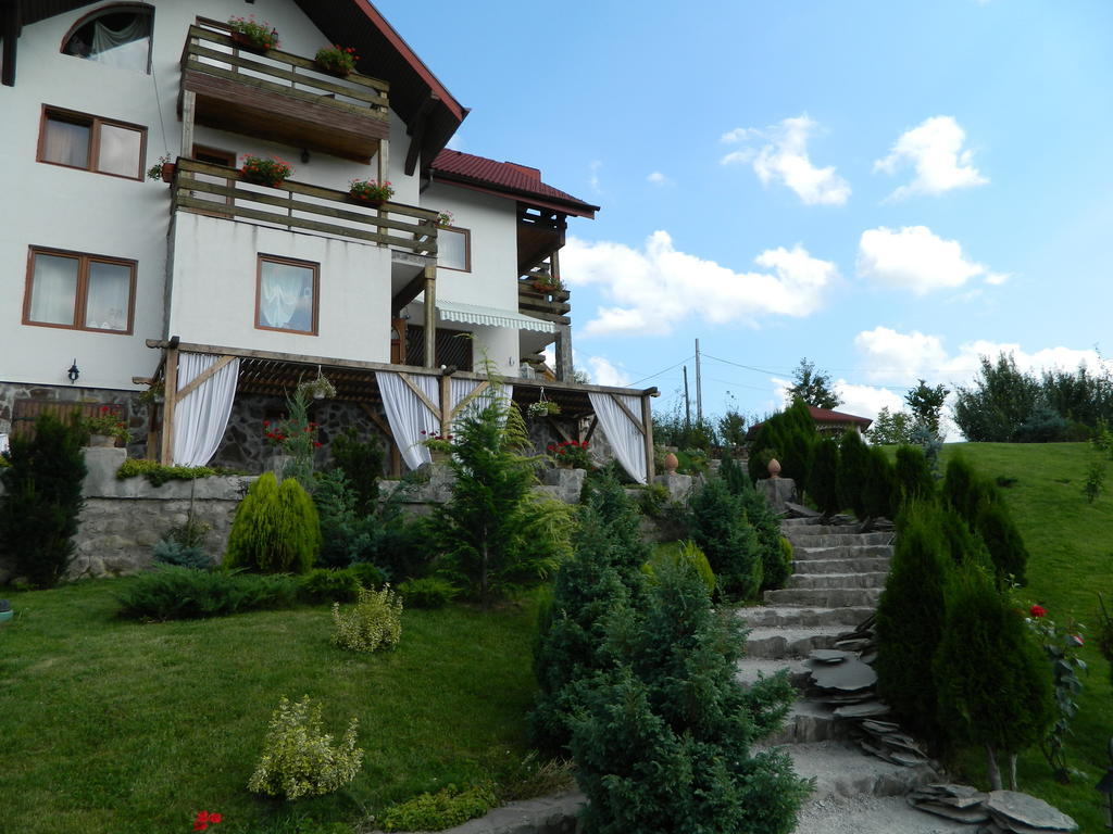 Pensiunea Romantic Sadu Exterior foto